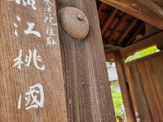 f:id:nawatchy:20210508160119j:image f:id:nawatchy:20210508160119j:image