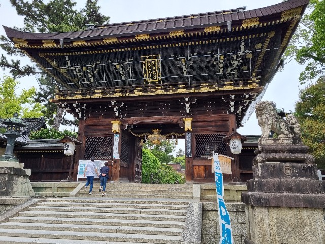 f:id:nawatchy:20210508160339j:image f:id:nawatchy:20210508160339j:image