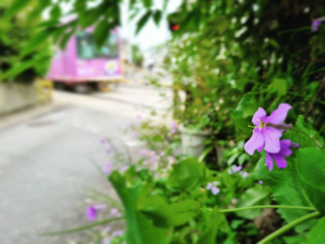 f:id:nawatchy:20210508171147j:image f:id:nawatchy:20210508171147j:image