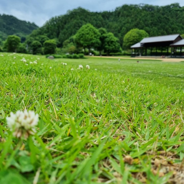 f:id:nawatchy:20210610105350j:image f:id:nawatchy:20210610105350j:image