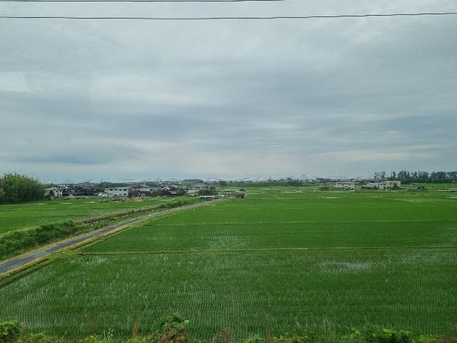 f:id:nawatchy:20210613174127j:image f:id:nawatchy:20210613174127j:image