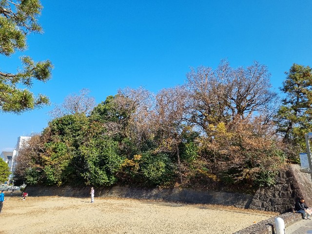 f:id:nawatchy:20220104230658j:image f:id:nawatchy:20220104230658j:image