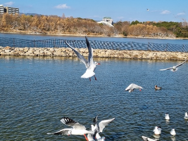 f:id:nawatchy:20220104230826j:image f:id:nawatchy:20220104230826j:image