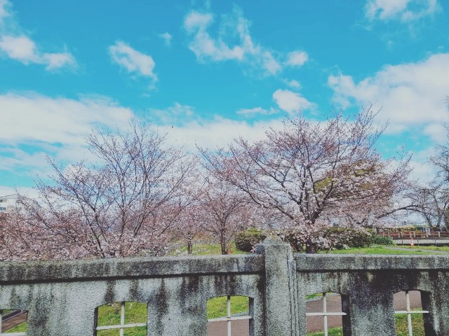 f:id:nawatchy:20220327210304j:image f:id:nawatchy:20220327210304j:image
