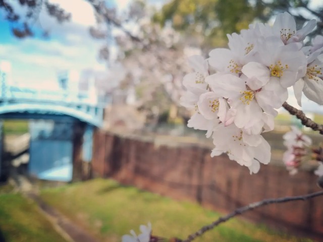 f:id:nawatchy:20220328115727j:image f:id:nawatchy:20220328115727j:image