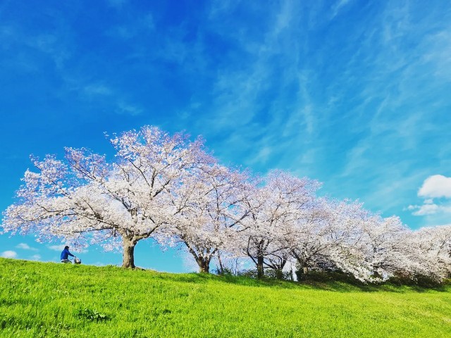 f:id:nawatchy:20220401191024j:image f:id:nawatchy:20220401191024j:image