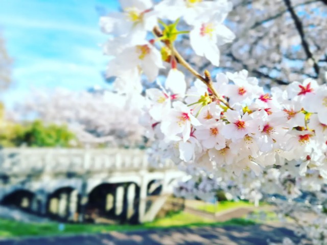 f:id:nawatchy:20220401191132j:image f:id:nawatchy:20220401191132j:image