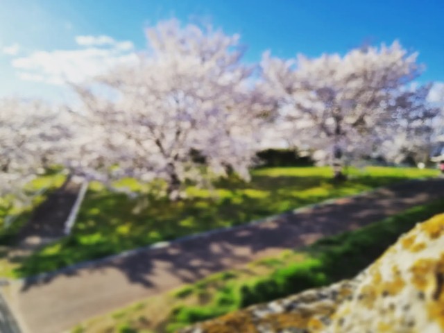 f:id:nawatchy:20220401191146j:image f:id:nawatchy:20220401191146j:image