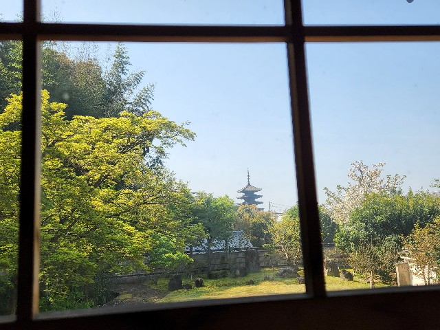 f:id:nawatchy:20220413071051j:image