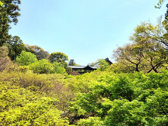 f:id:nawatchy:20220413071321j:image