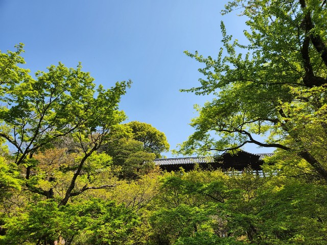 f:id:nawatchy:20220413071521j:image