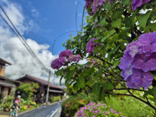 f:id:nawatchy:20241019192833j:image f:id:nawatchy:20241019192833j:image