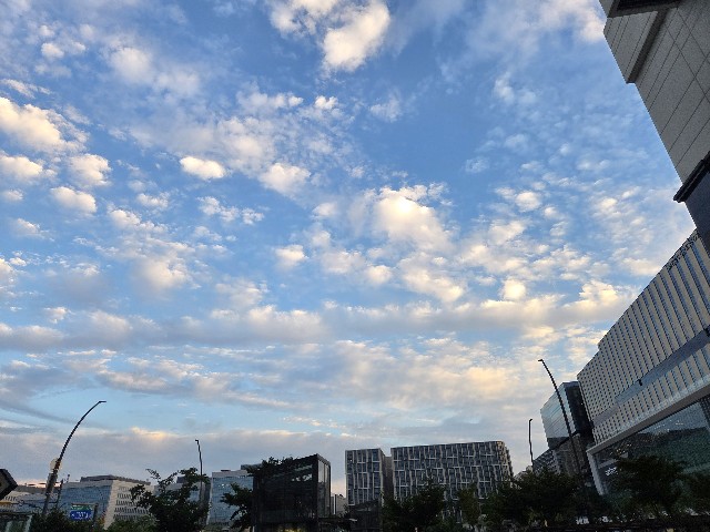 f:id:nawatchy:20250813094810j:image