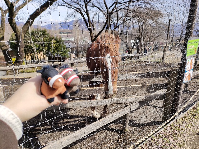 f:id:nawo_somano:20220602205150j:image f:id:nawo_somano:20220602205150j:image