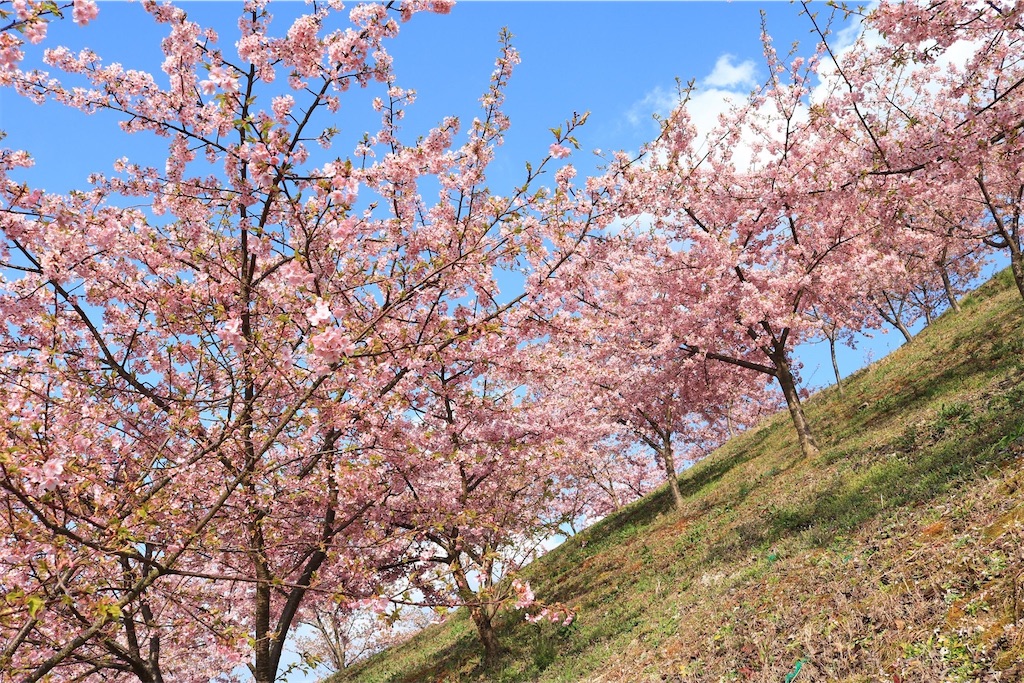 家族のお出かけやカップルのデートに 富田林市農業公園サバーファームのおススメ体験8選 地方公務員ブロガー 納 翔一郎 富田林 Information Work Life