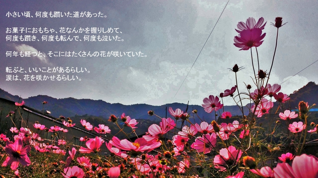 f:id:nayamikg:20161107103642j:plain f:id:nayamikg:20161107103642j:plain