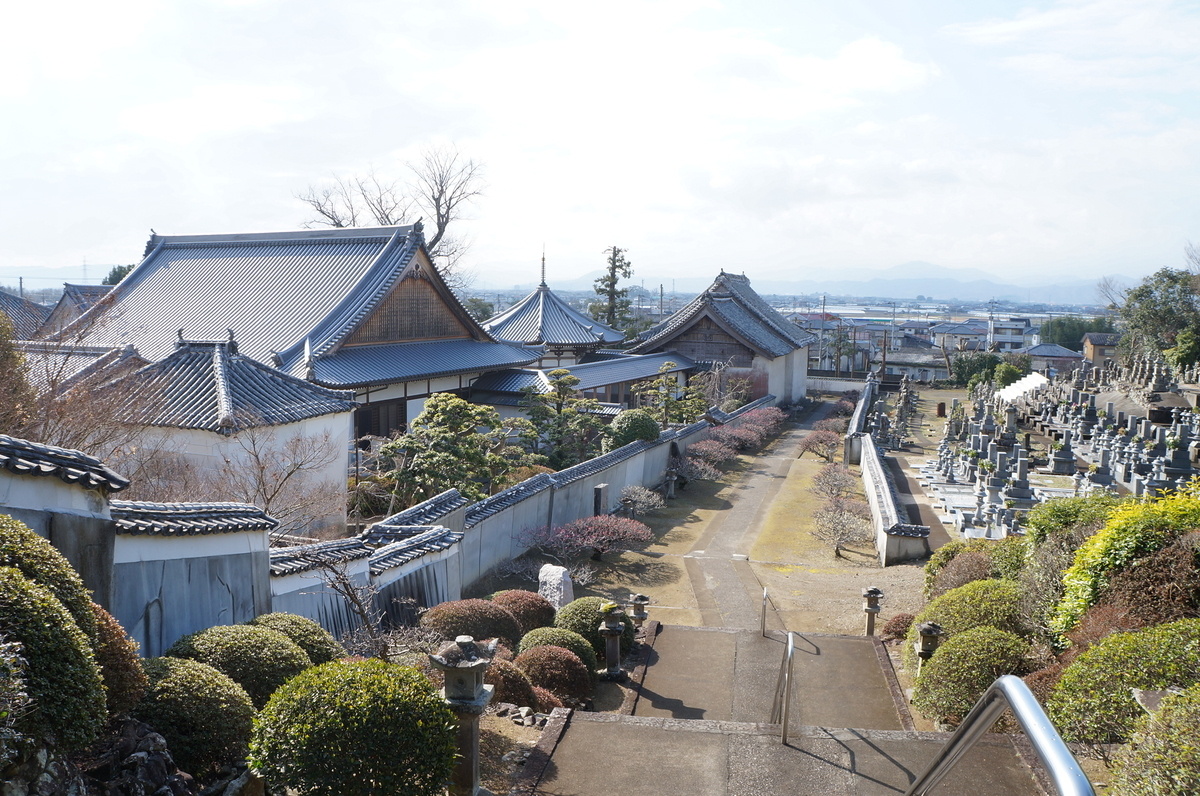 f:id:nayumimahenro:20190317104424j:plain f:id:nayumimahenro:20190317104424j:plain