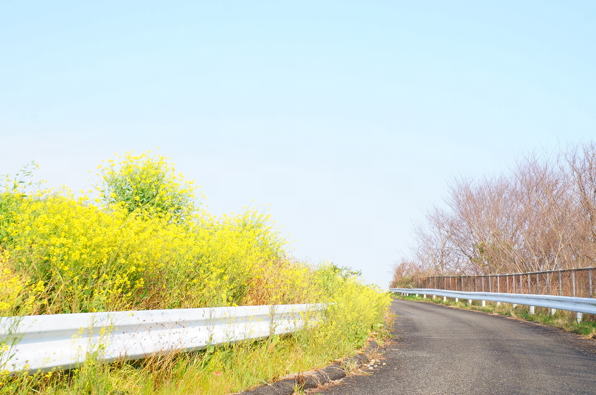 f:id:nayumimahenro:20190319183852j:plain f:id:nayumimahenro:20190319183852j:plain