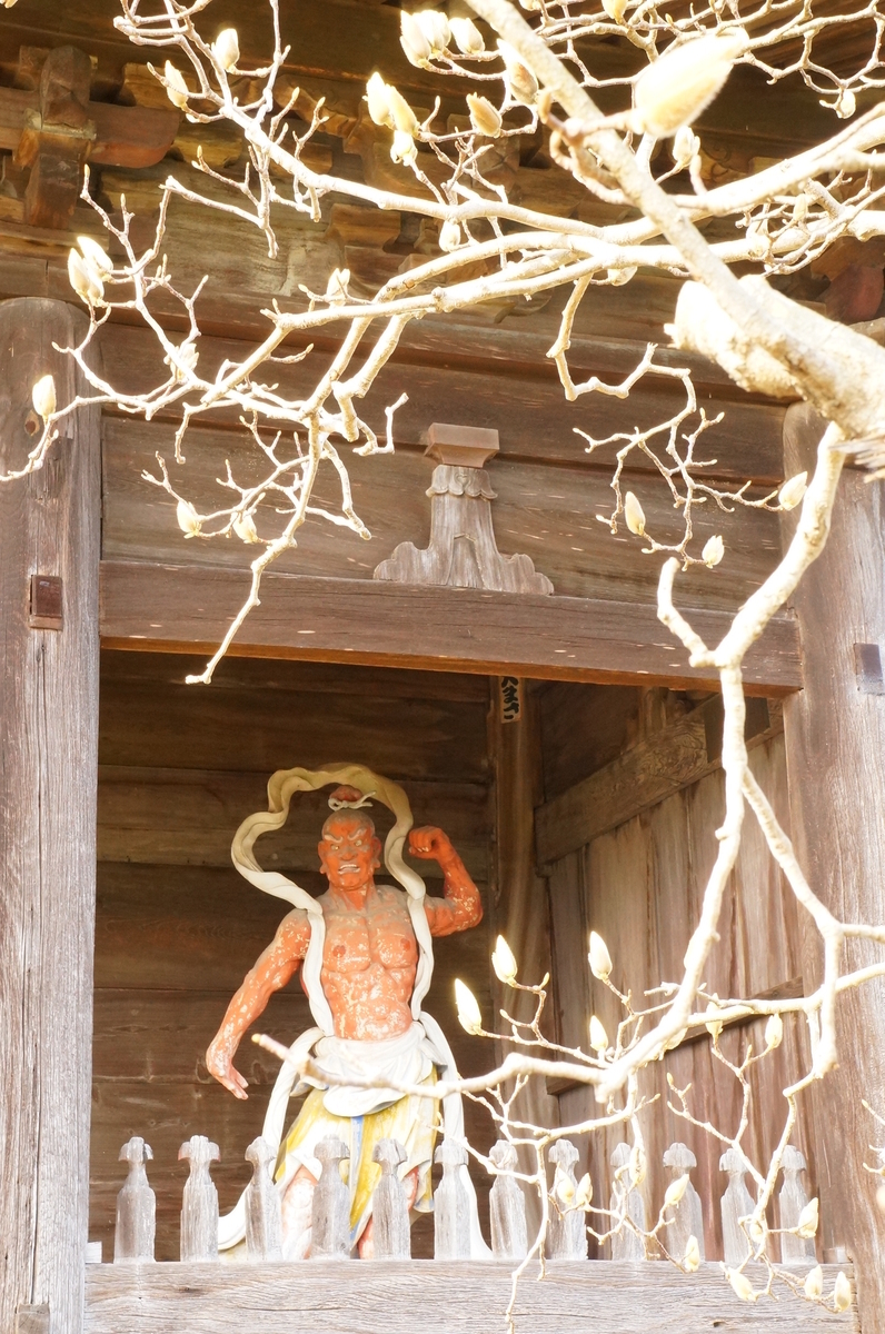 f:id:nayumimahenro:20190320070018j:plain f:id:nayumimahenro:20190320070018j:plain
