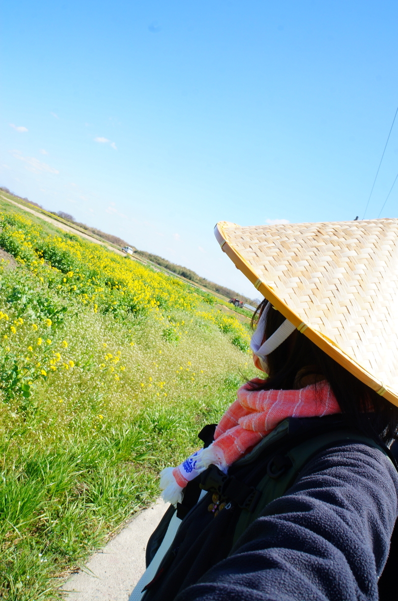 f:id:nayumimahenro:20190328131530j:plain f:id:nayumimahenro:20190328131530j:plain