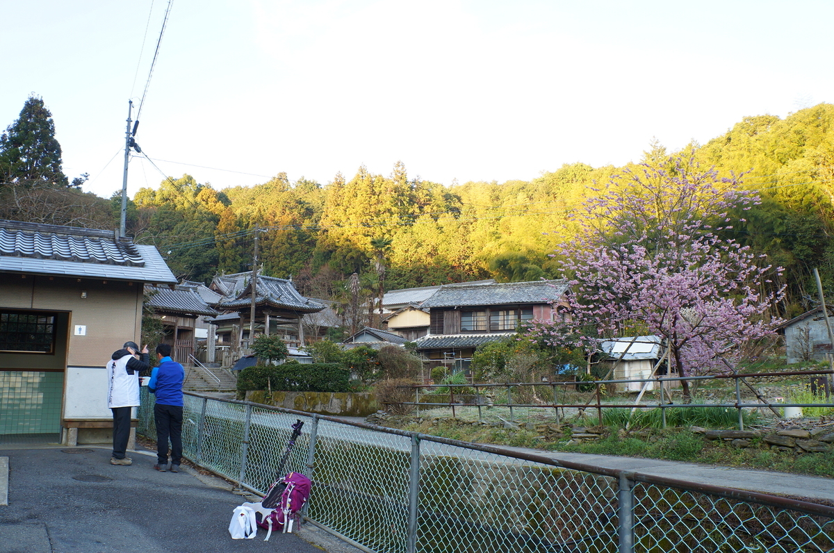 f:id:nayumimahenro:20190330094939j:plain f:id:nayumimahenro:20190330094939j:plain