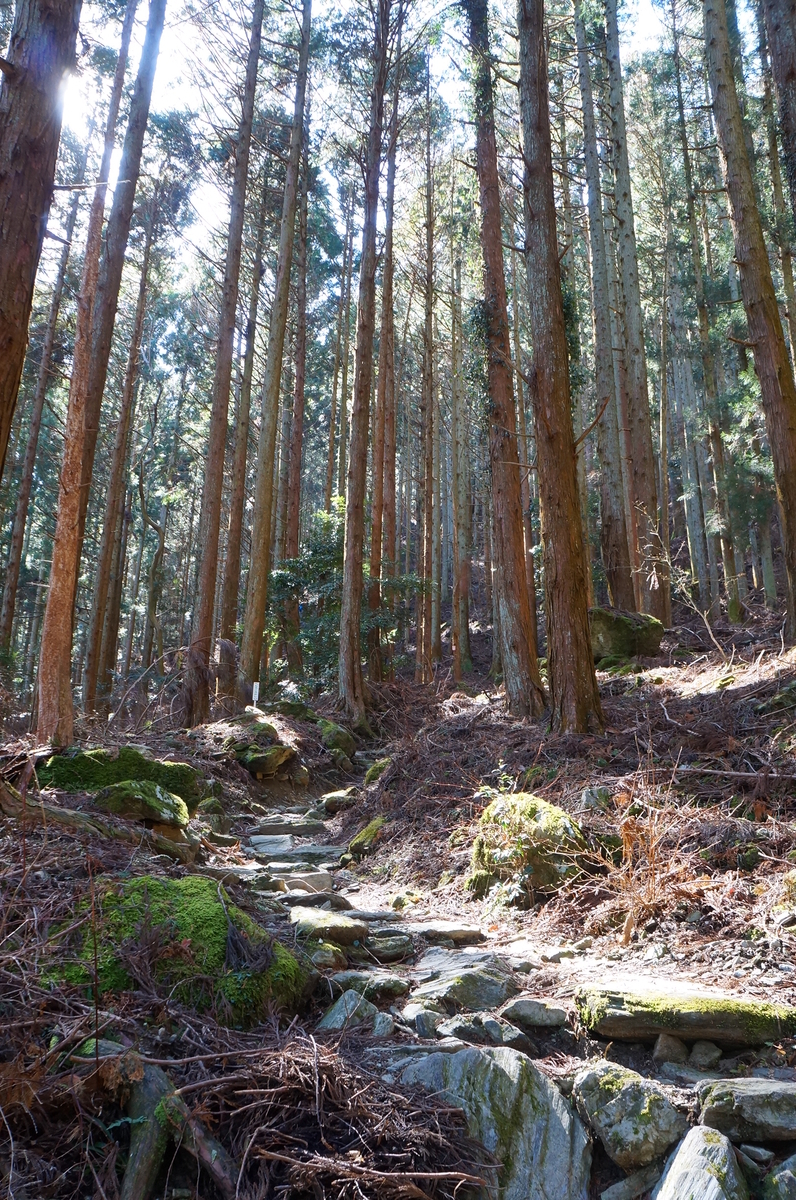 f:id:nayumimahenro:20190330154122j:plain f:id:nayumimahenro:20190330154122j:plain