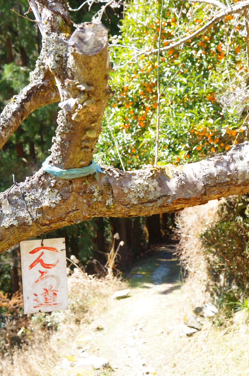 f:id:nayumimahenro:20190331125853j:plain f:id:nayumimahenro:20190331125853j:plain