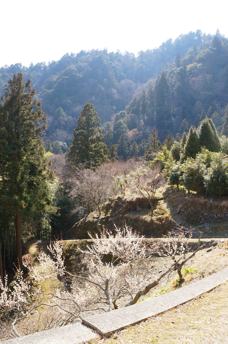 f:id:nayumimahenro:20190331161748j:plain f:id:nayumimahenro:20190331161748j:plain