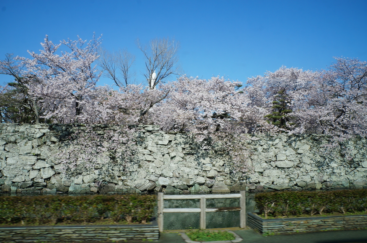 f:id:nayumimahenro:20190426120506j:plain f:id:nayumimahenro:20190426120506j:plain