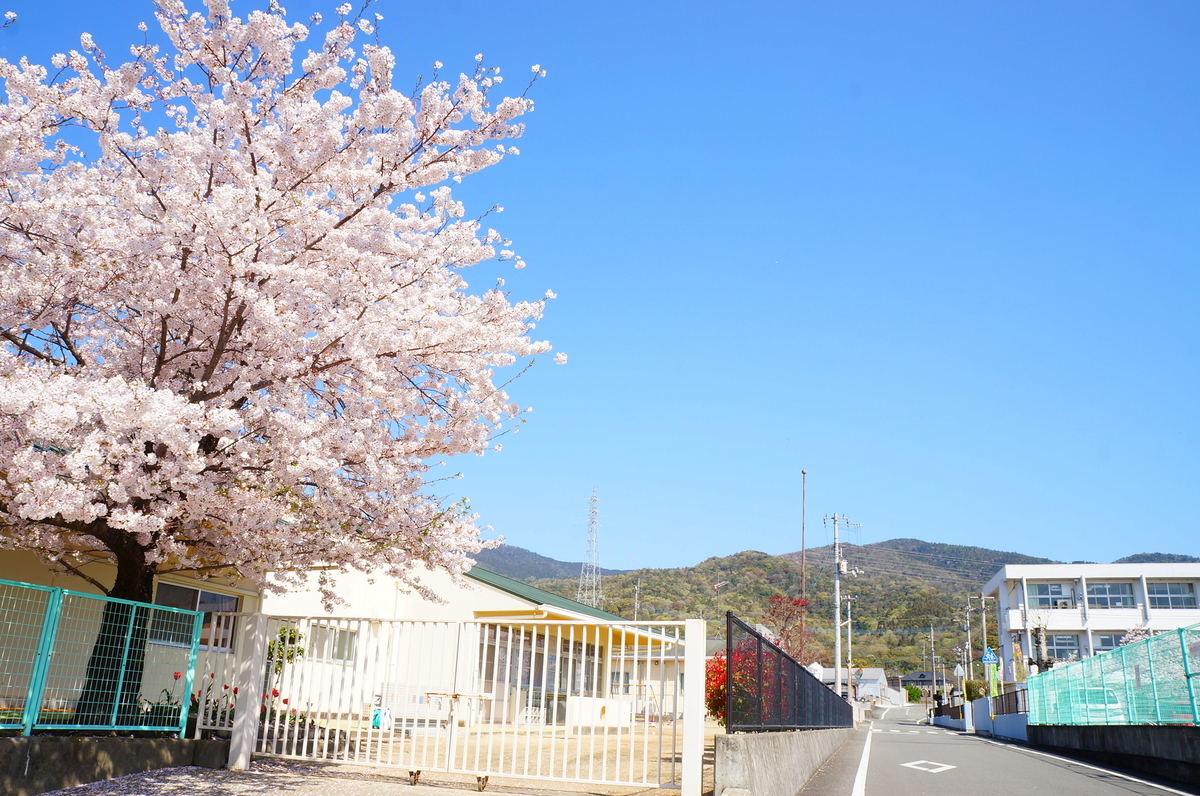 f:id:nayumimahenro:20190429102826j:plain f:id:nayumimahenro:20190429102826j:plain