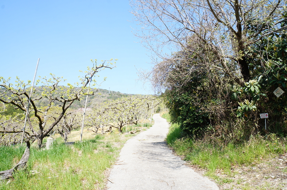 f:id:nayumimahenro:20190429220310j:plain f:id:nayumimahenro:20190429220310j:plain