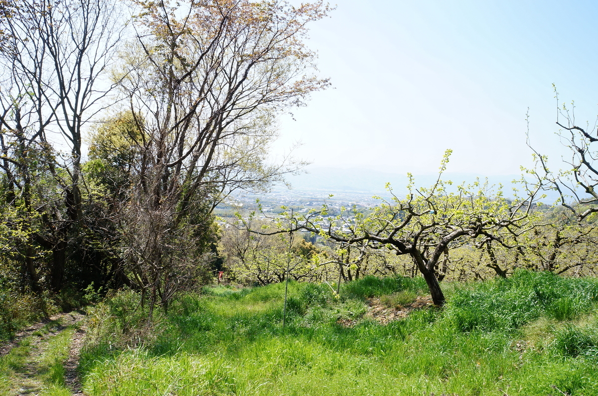 f:id:nayumimahenro:20190429221139j:plain f:id:nayumimahenro:20190429221139j:plain