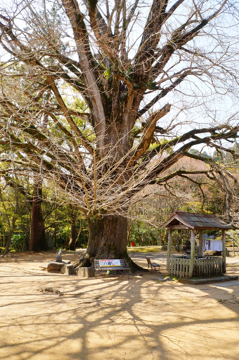 f:id:nayumimahenro:20190430084142j:plain f:id:nayumimahenro:20190430084142j:plain