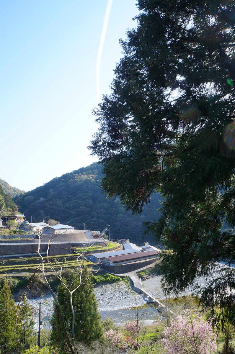 f:id:nayumimahenro:20190511084125j:plain f:id:nayumimahenro:20190511084125j:plain