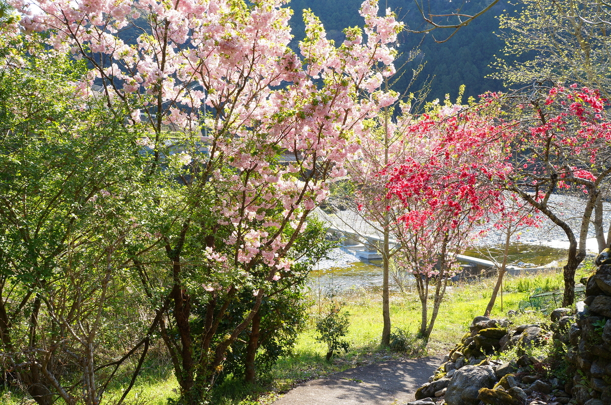 f:id:nayumimahenro:20190511084245j:plain f:id:nayumimahenro:20190511084245j:plain