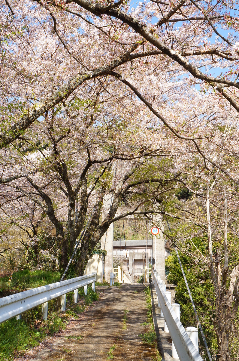 f:id:nayumimahenro:20190511133825j:plain f:id:nayumimahenro:20190511133825j:plain