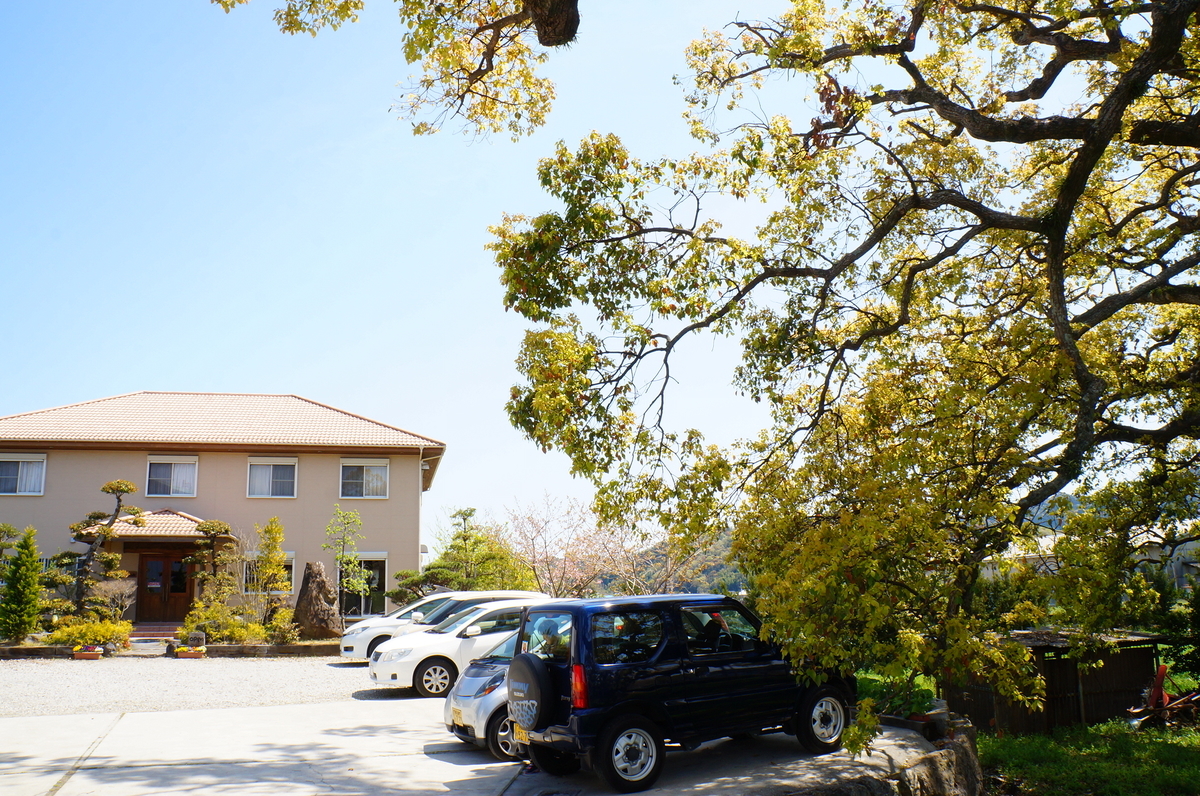 f:id:nayumimahenro:20190511141629j:plain f:id:nayumimahenro:20190511141629j:plain