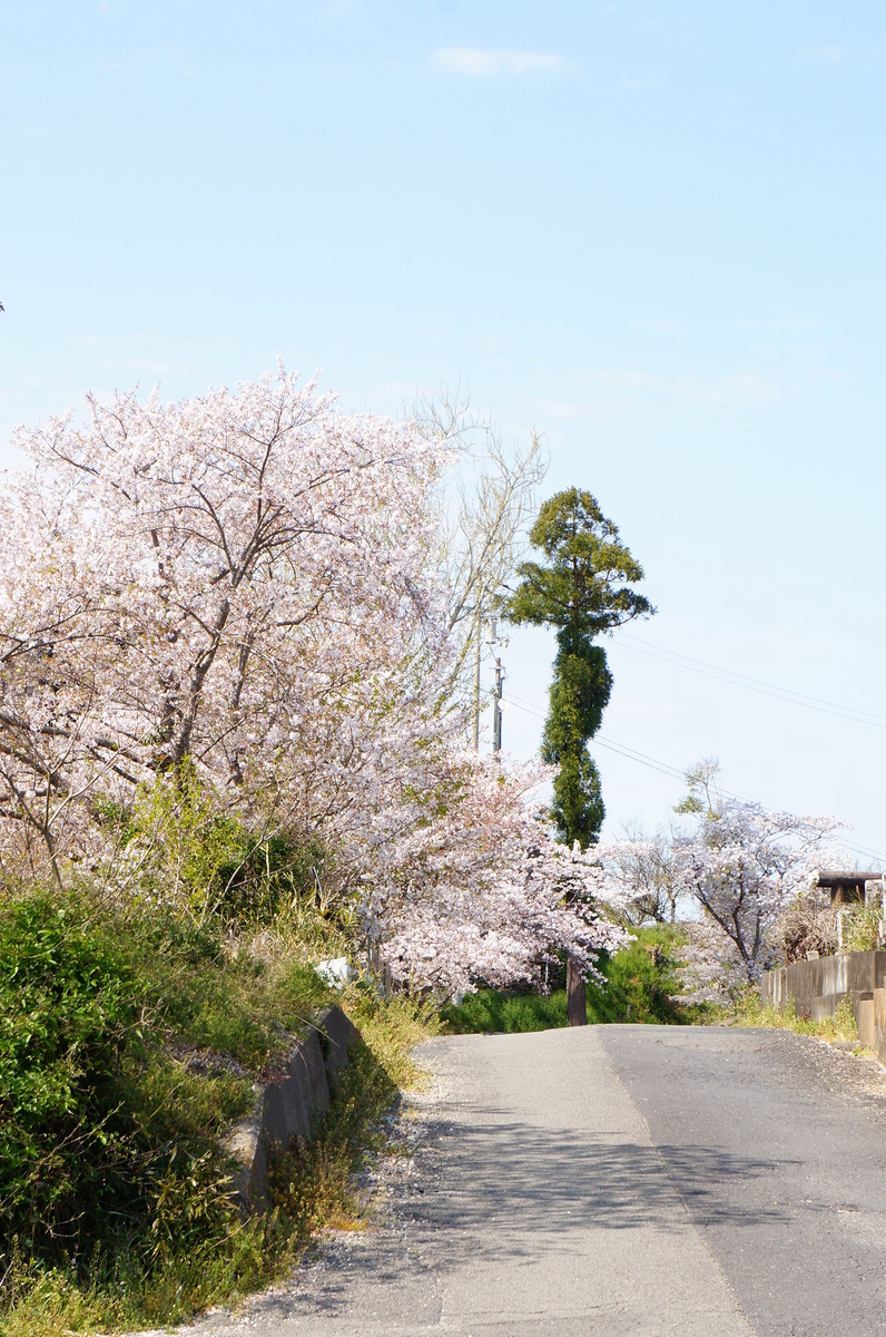 f:id:nayumimahenro:20190521090644j:plain f:id:nayumimahenro:20190521090644j:plain
