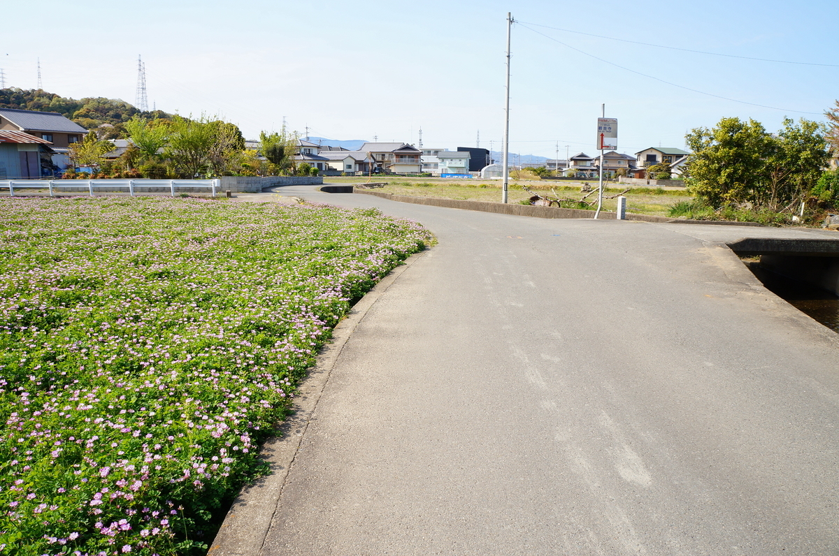 f:id:nayumimahenro:20190526090251j:plain f:id:nayumimahenro:20190526090251j:plain