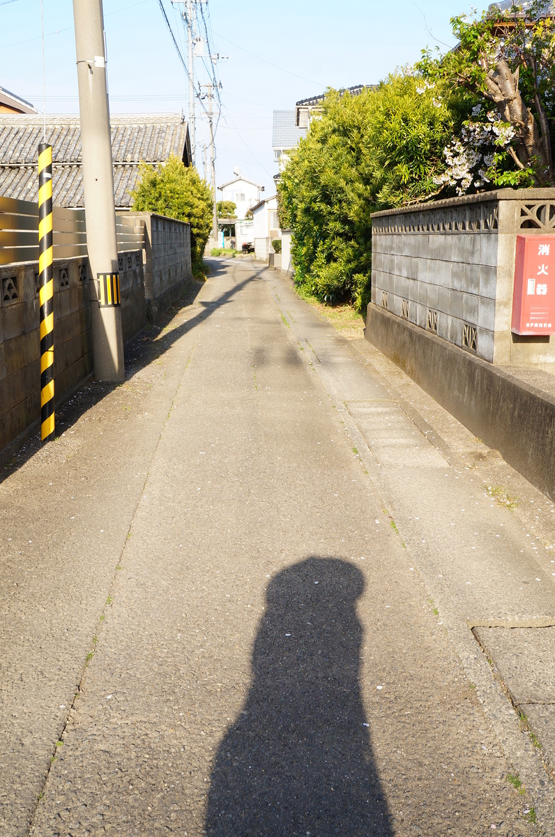 f:id:nayumimahenro:20190526092658j:plain f:id:nayumimahenro:20190526092658j:plain