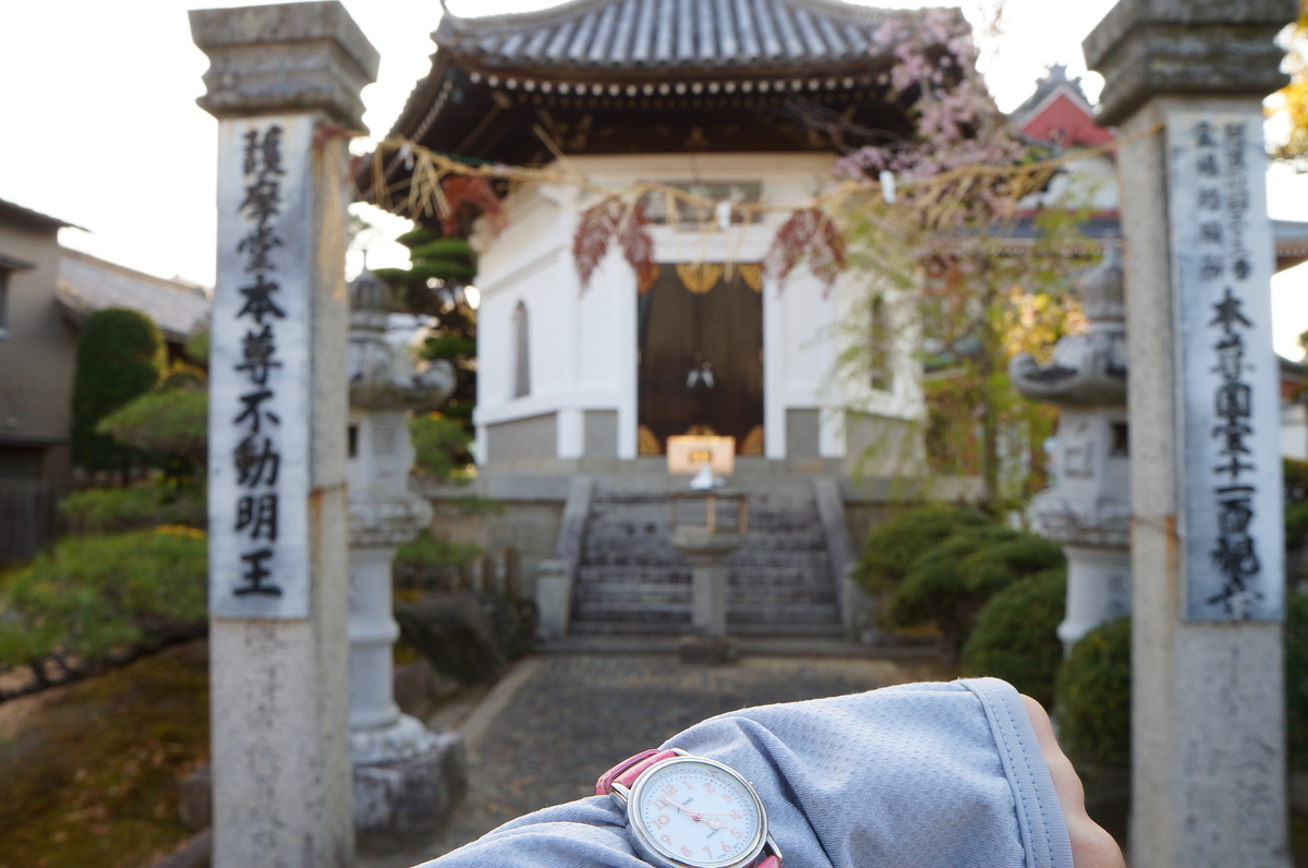 f:id:nayumimahenro:20190526142219j:plain f:id:nayumimahenro:20190526142219j:plain