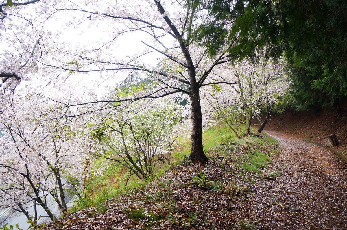 f:id:nayumimahenro:20190528071221j:plain f:id:nayumimahenro:20190528071221j:plain