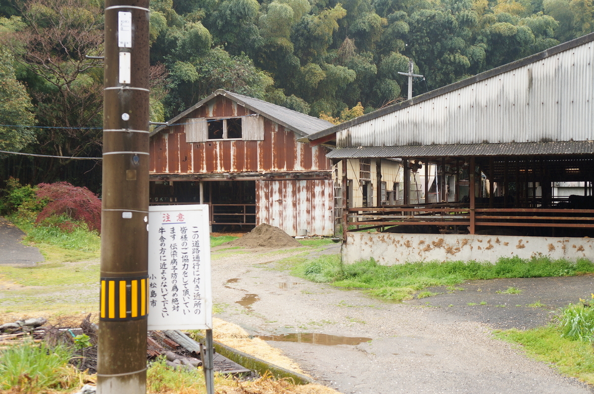 f:id:nayumimahenro:20190528074951j:plain f:id:nayumimahenro:20190528074951j:plain