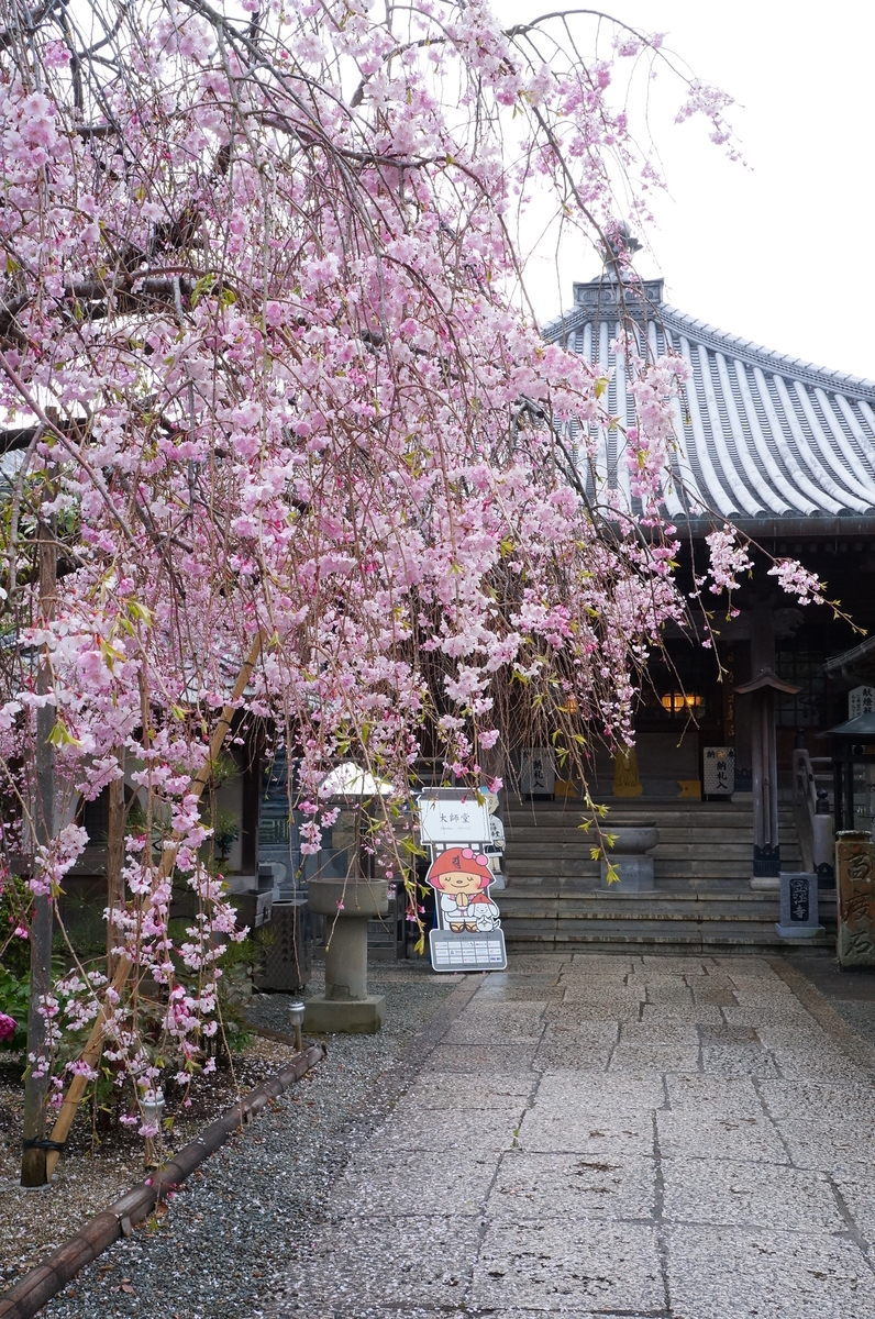 f:id:nayumimahenro:20190602110503j:plain f:id:nayumimahenro:20190602110503j:plain