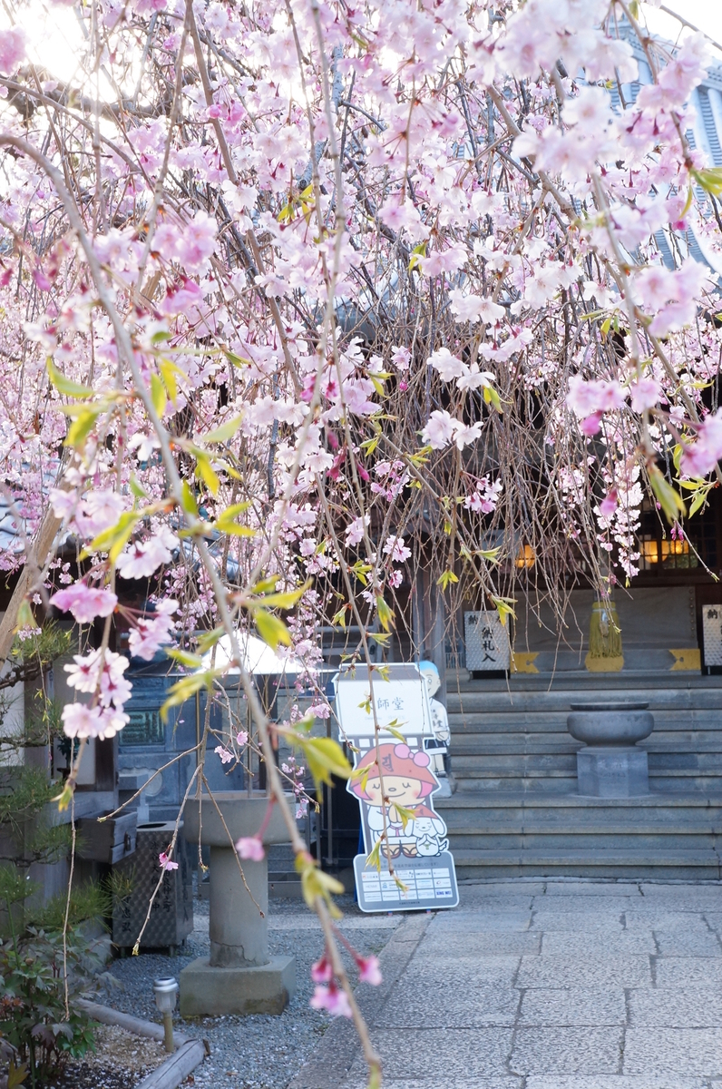 f:id:nayumimahenro:20190604080633j:plain f:id:nayumimahenro:20190604080633j:plain