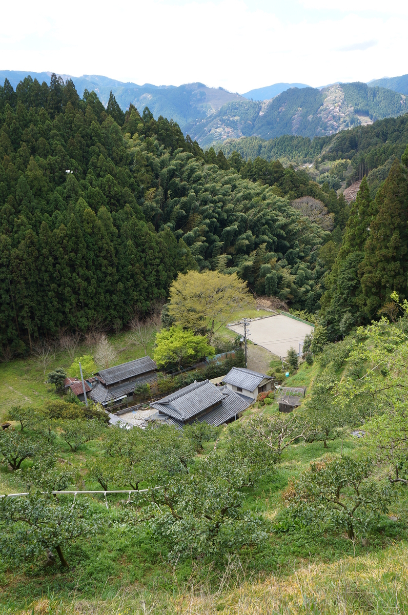 f:id:nayumimahenro:20190617210816j:plain f:id:nayumimahenro:20190617210816j:plain