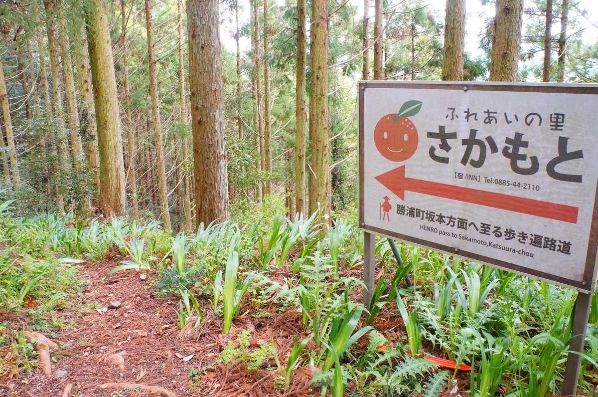 f:id:nayumimahenro:20190618125811j:plain f:id:nayumimahenro:20190618125811j:plain