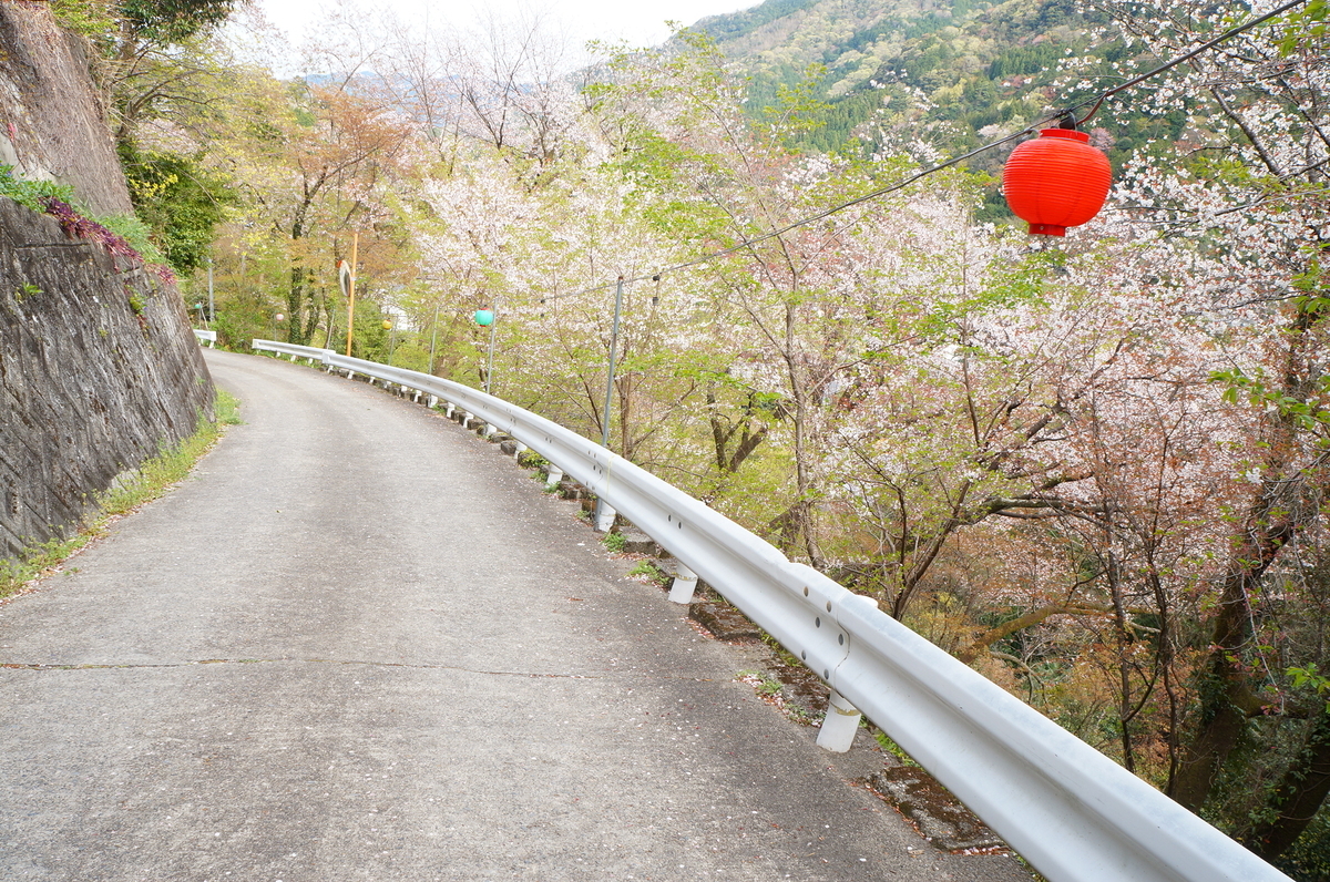 f:id:nayumimahenro:20190618125919j:plain f:id:nayumimahenro:20190618125919j:plain