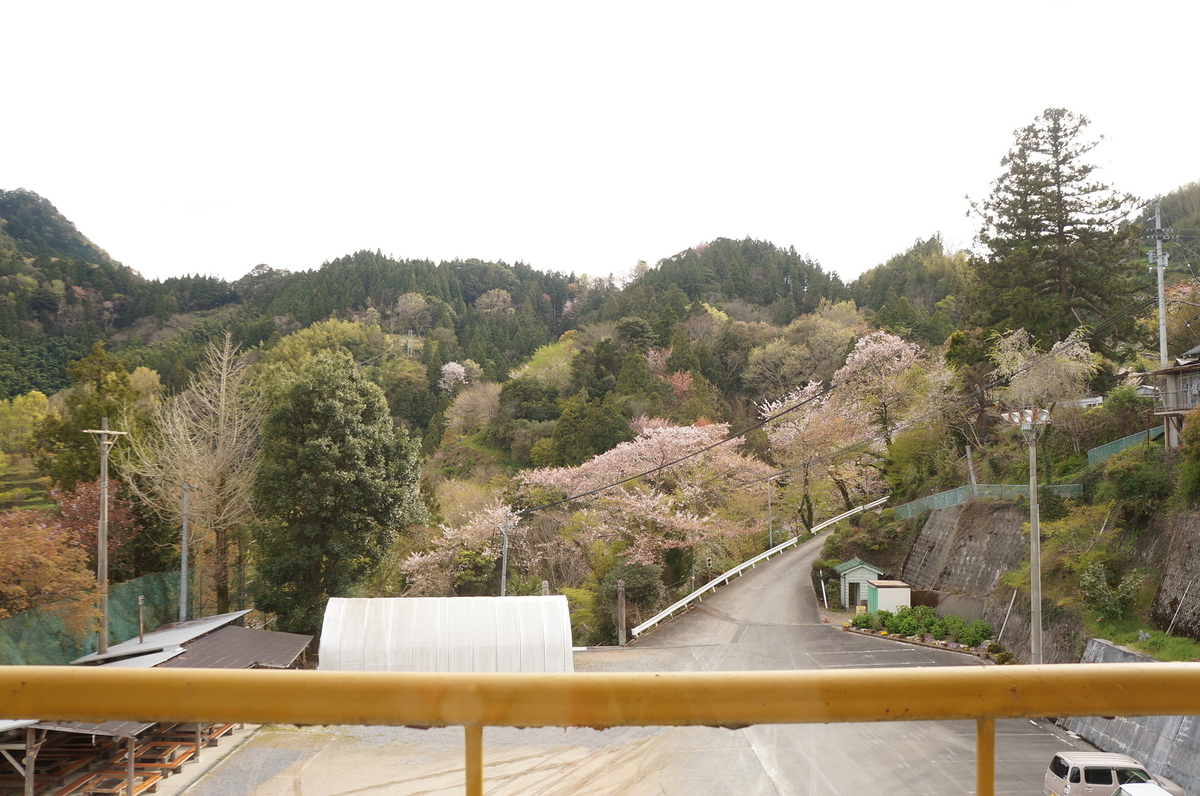 f:id:nayumimahenro:20190618132102j:plain f:id:nayumimahenro:20190618132102j:plain