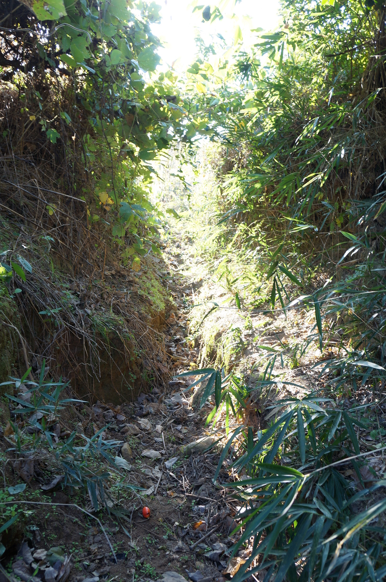 f:id:nayumimahenro:20191118141308j:plain f:id:nayumimahenro:20191118141308j:plain